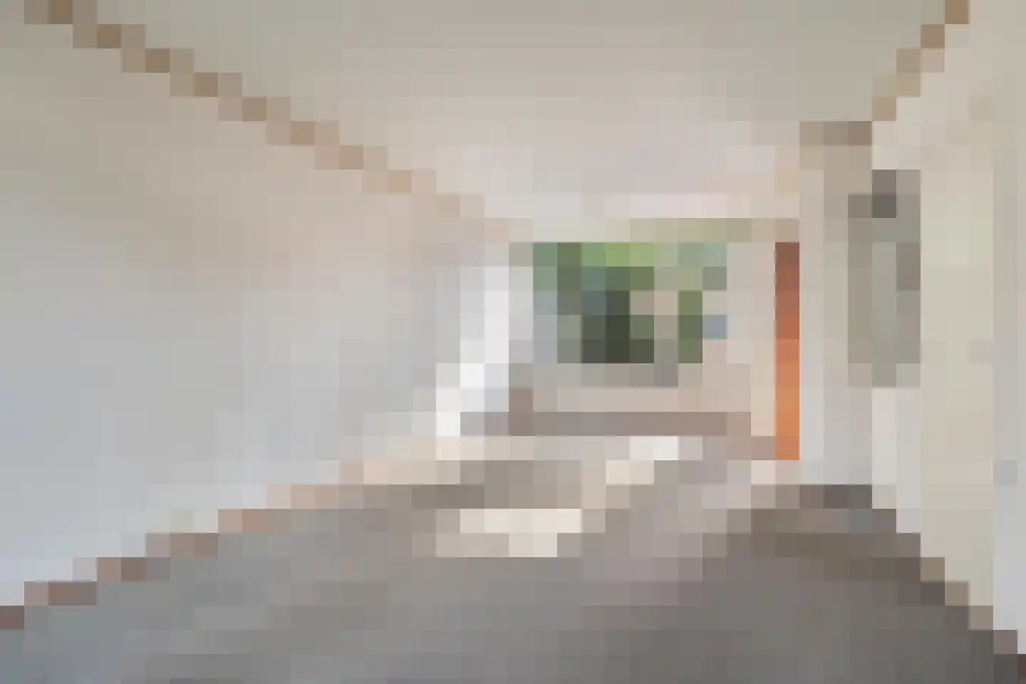 Schotenstraat 3 Terheijden thumbnail 16