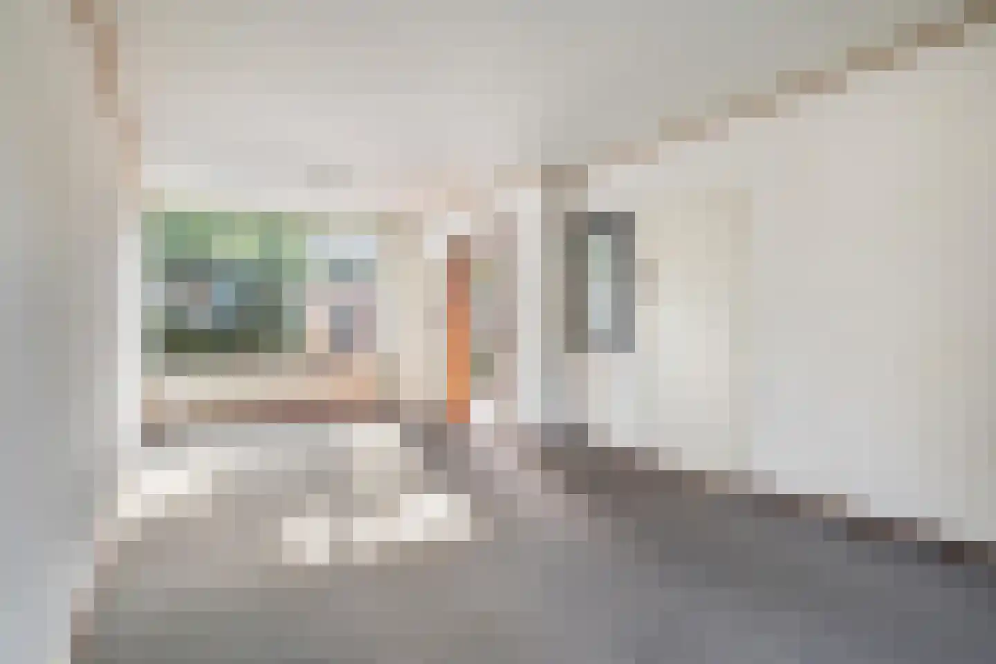 Schotenstraat 3 Terheijden thumbnail 17