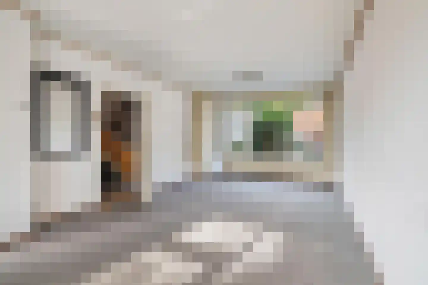 Schotenstraat 3 Terheijden thumbnail 19