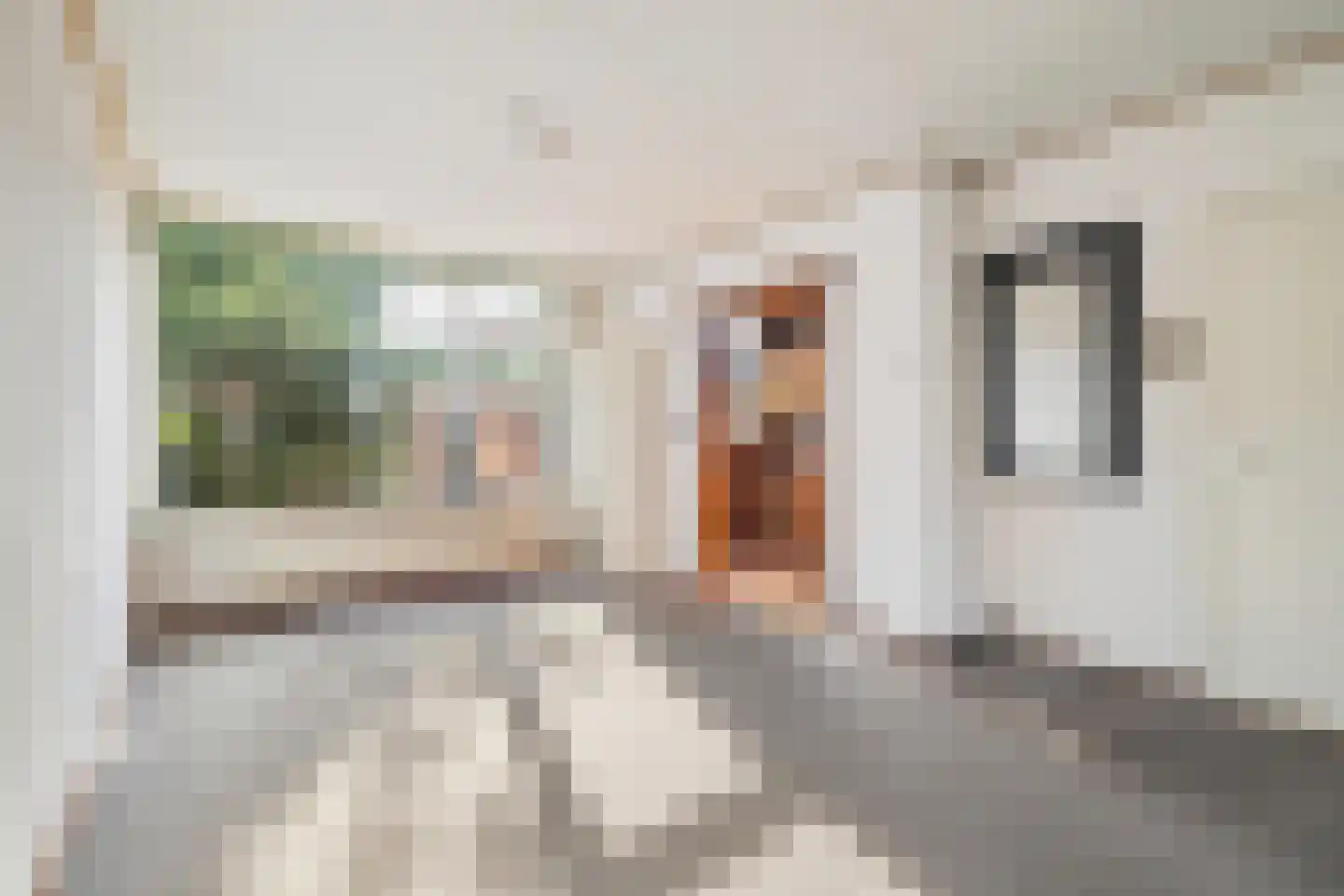 Schotenstraat 3 Terheijden thumbnail 21