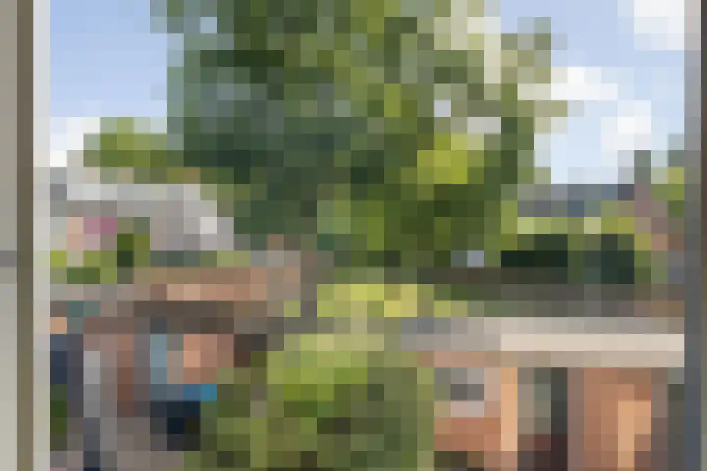 Schotenstraat 3 Terheijden thumbnail 30