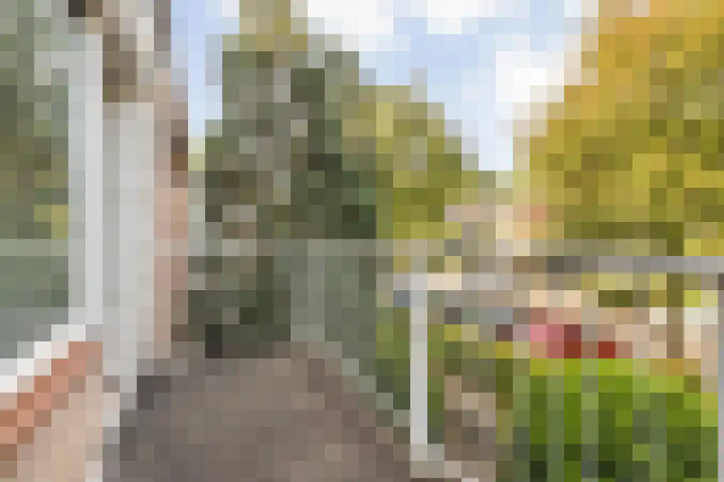 Schotenstraat 3 Terheijden thumbnail 36