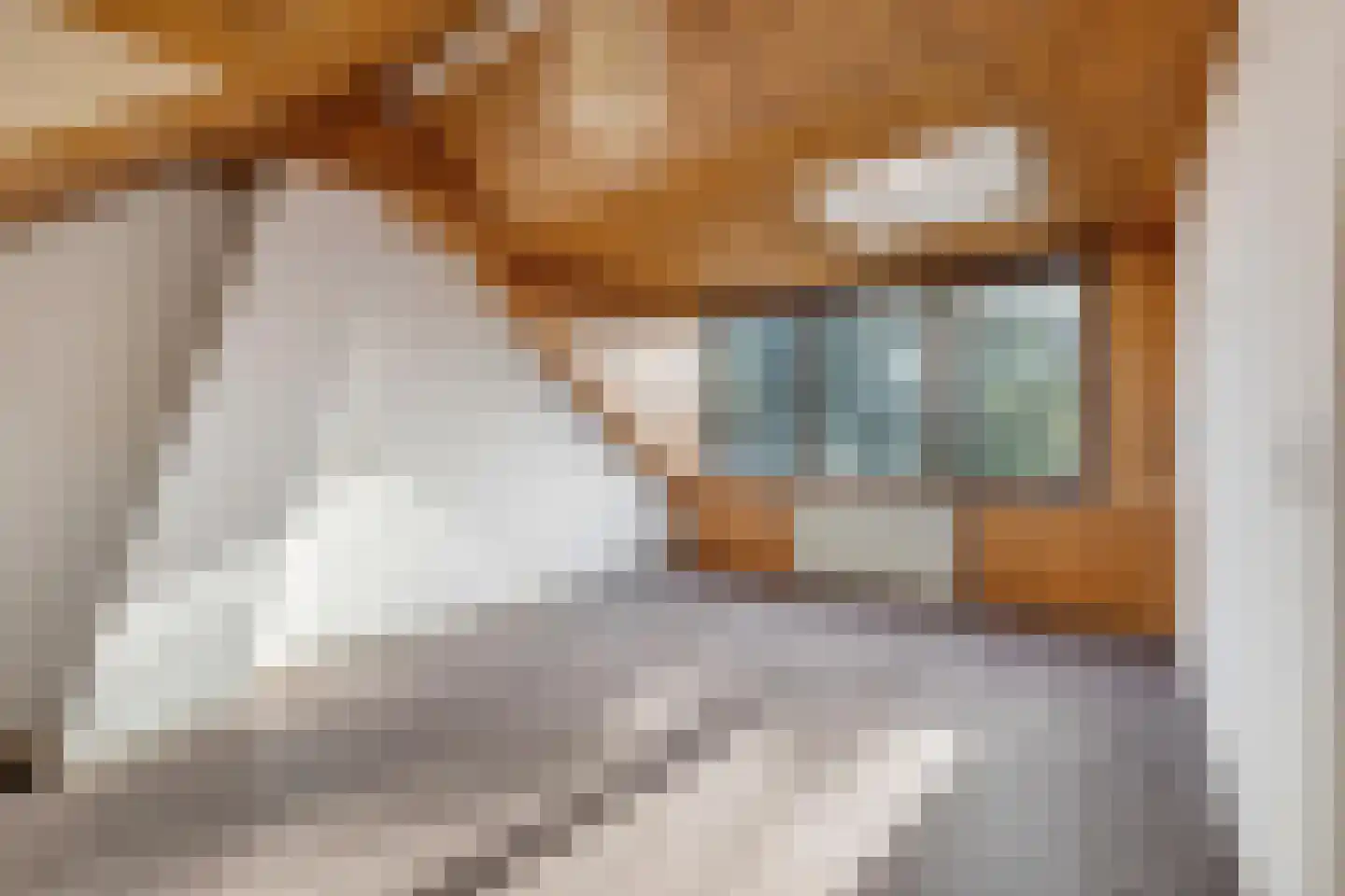 Schotenstraat 3 Terheijden thumbnail 44