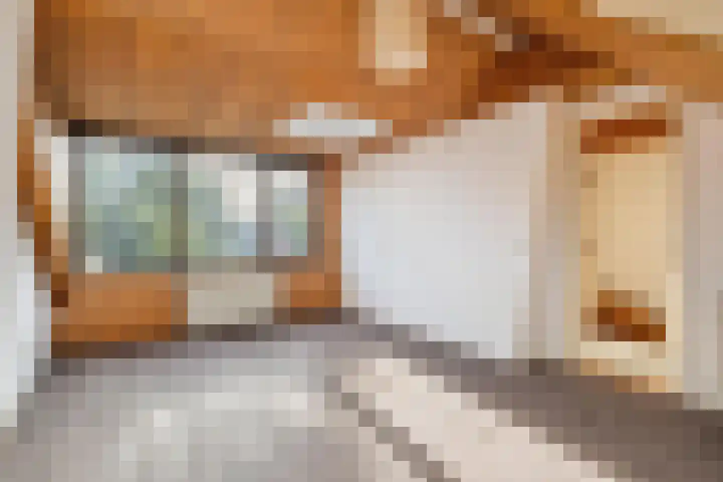 Schotenstraat 3 Terheijden thumbnail 45