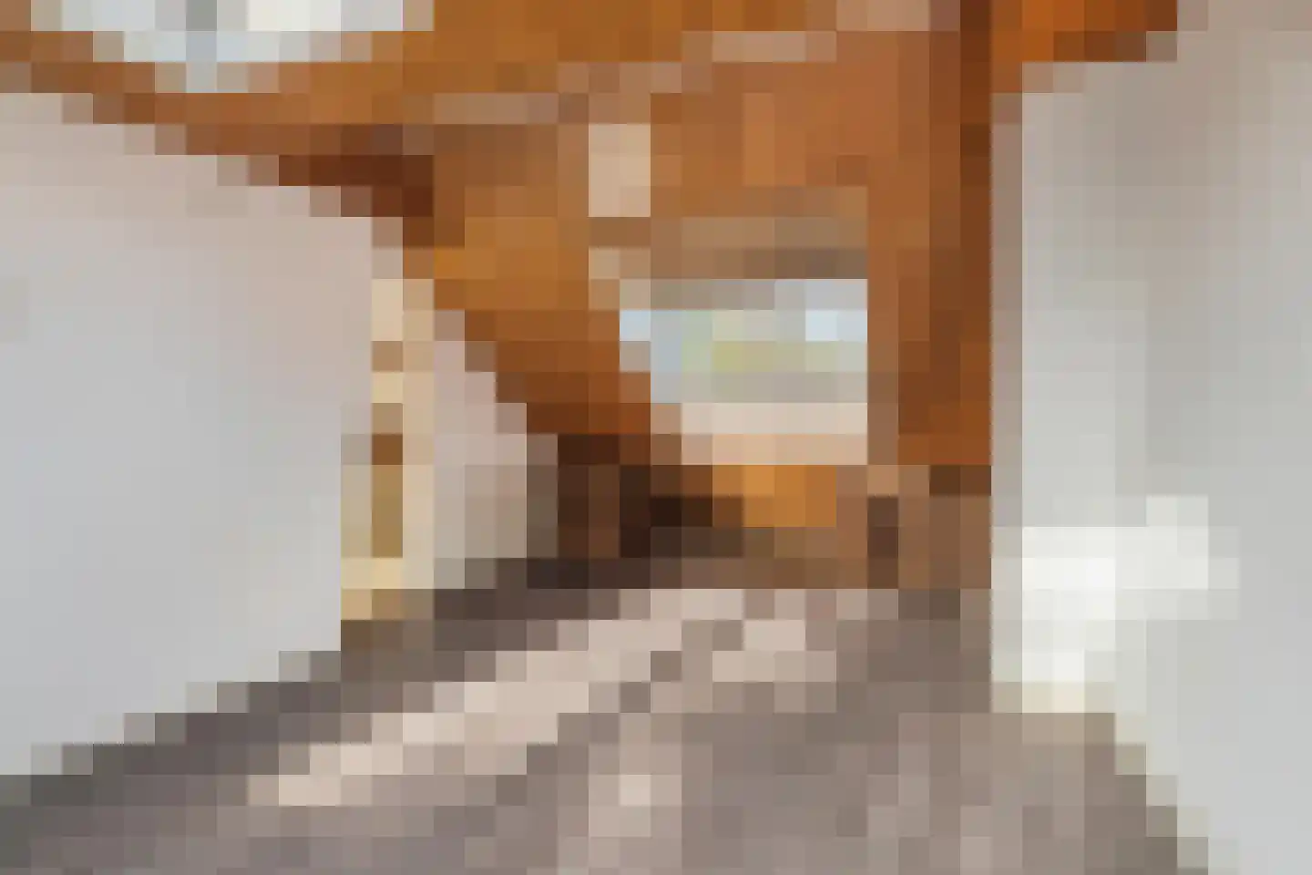 Schotenstraat 3 Terheijden thumbnail 46
