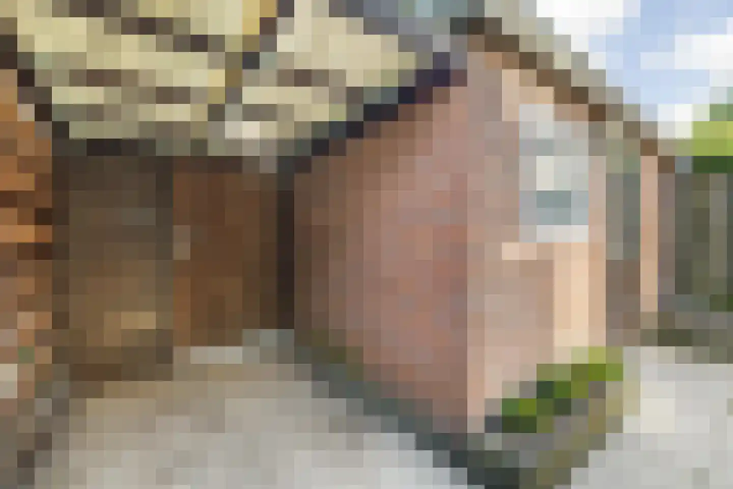 Schotenstraat 3 Terheijden thumbnail 50