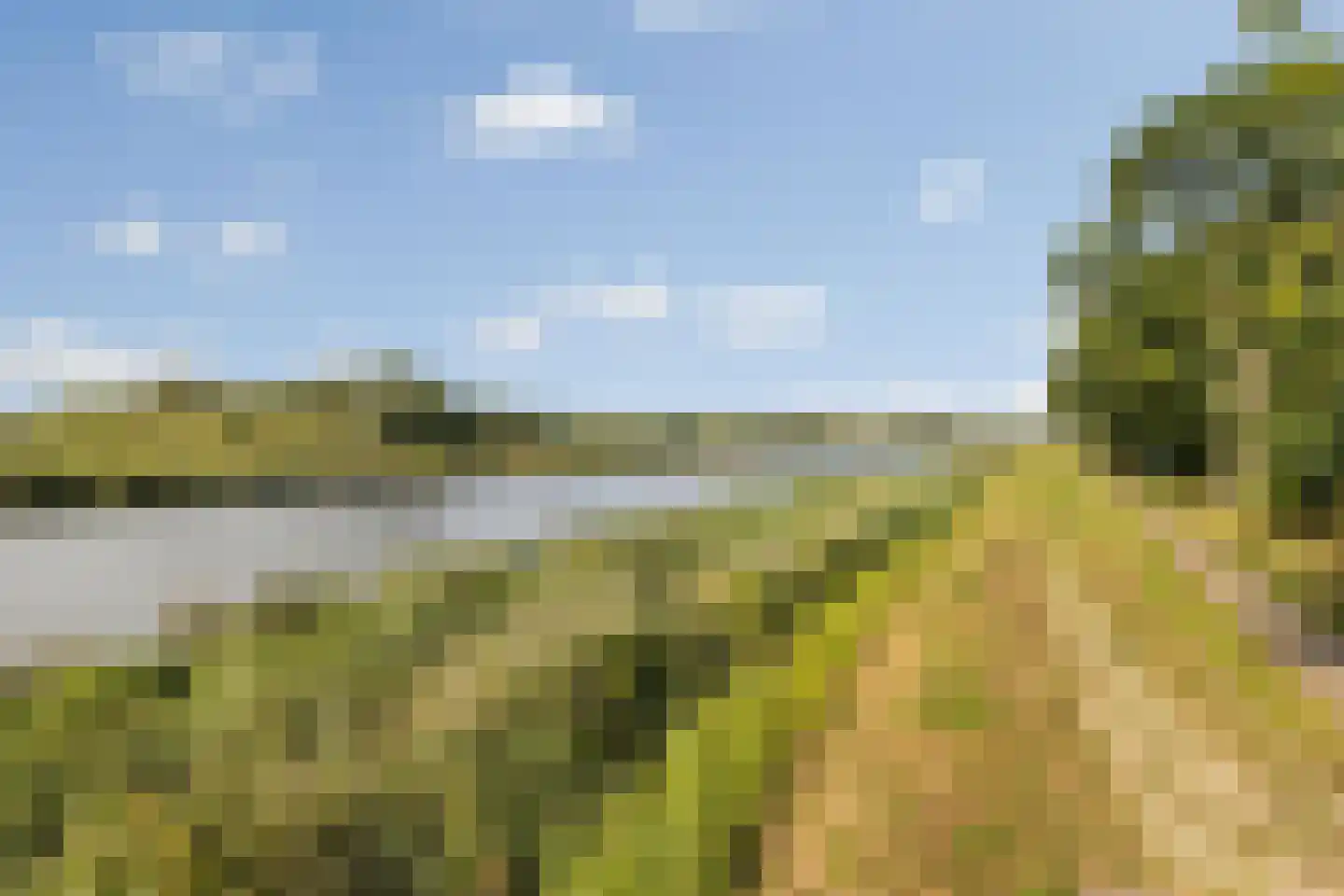 Schotenstraat 3 Terheijden thumbnail 53