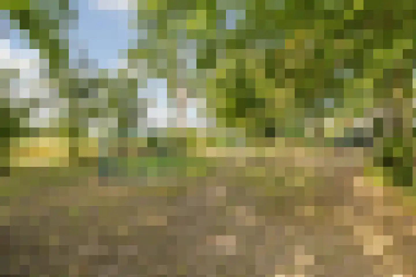 Schotenstraat 3 Terheijden thumbnail 54