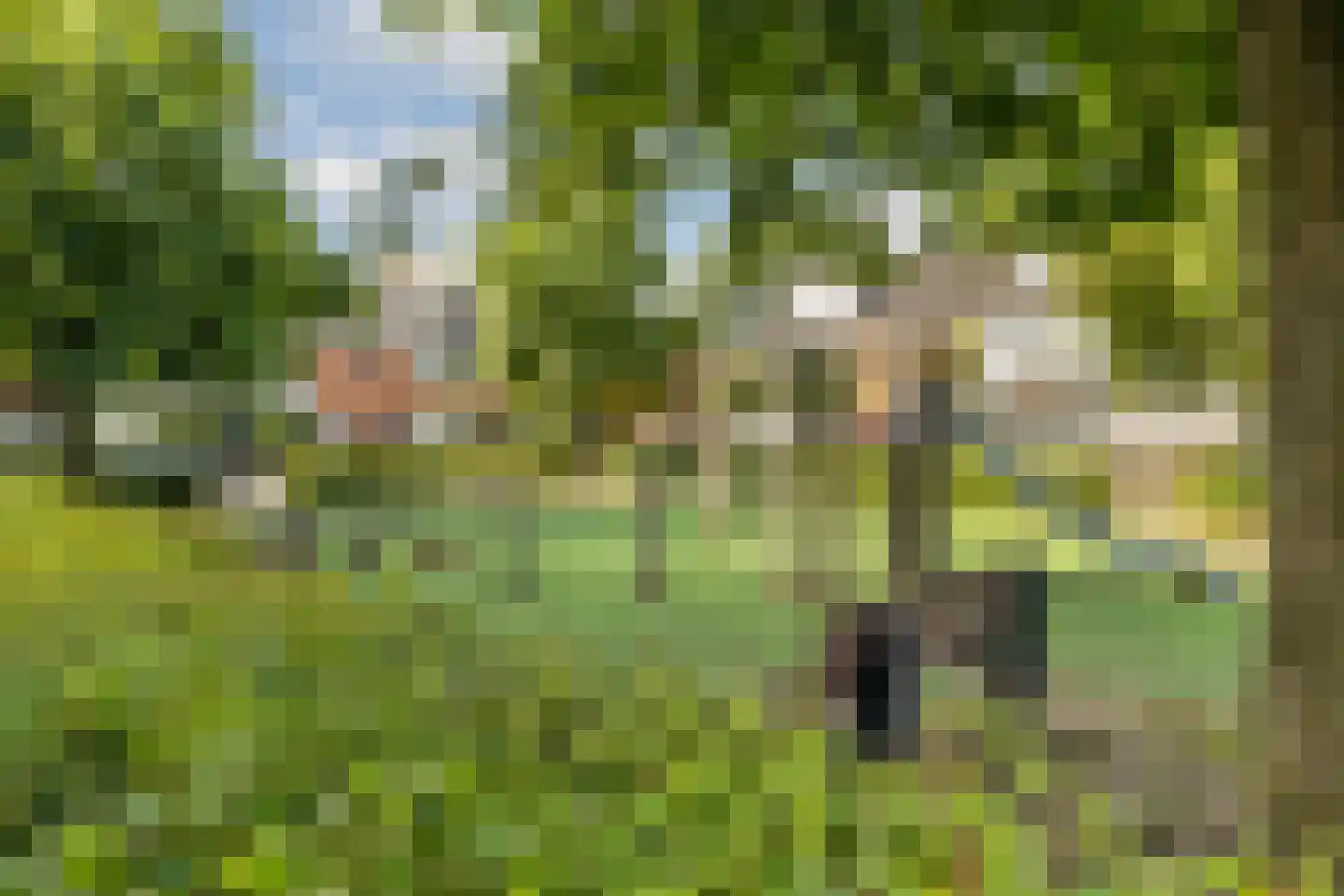 Schotenstraat 3 Terheijden thumbnail 55