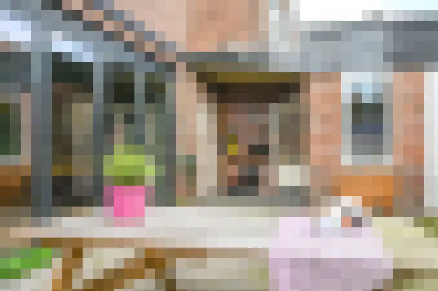 Schoterbosplein 15 Haarlem thumbnail 45