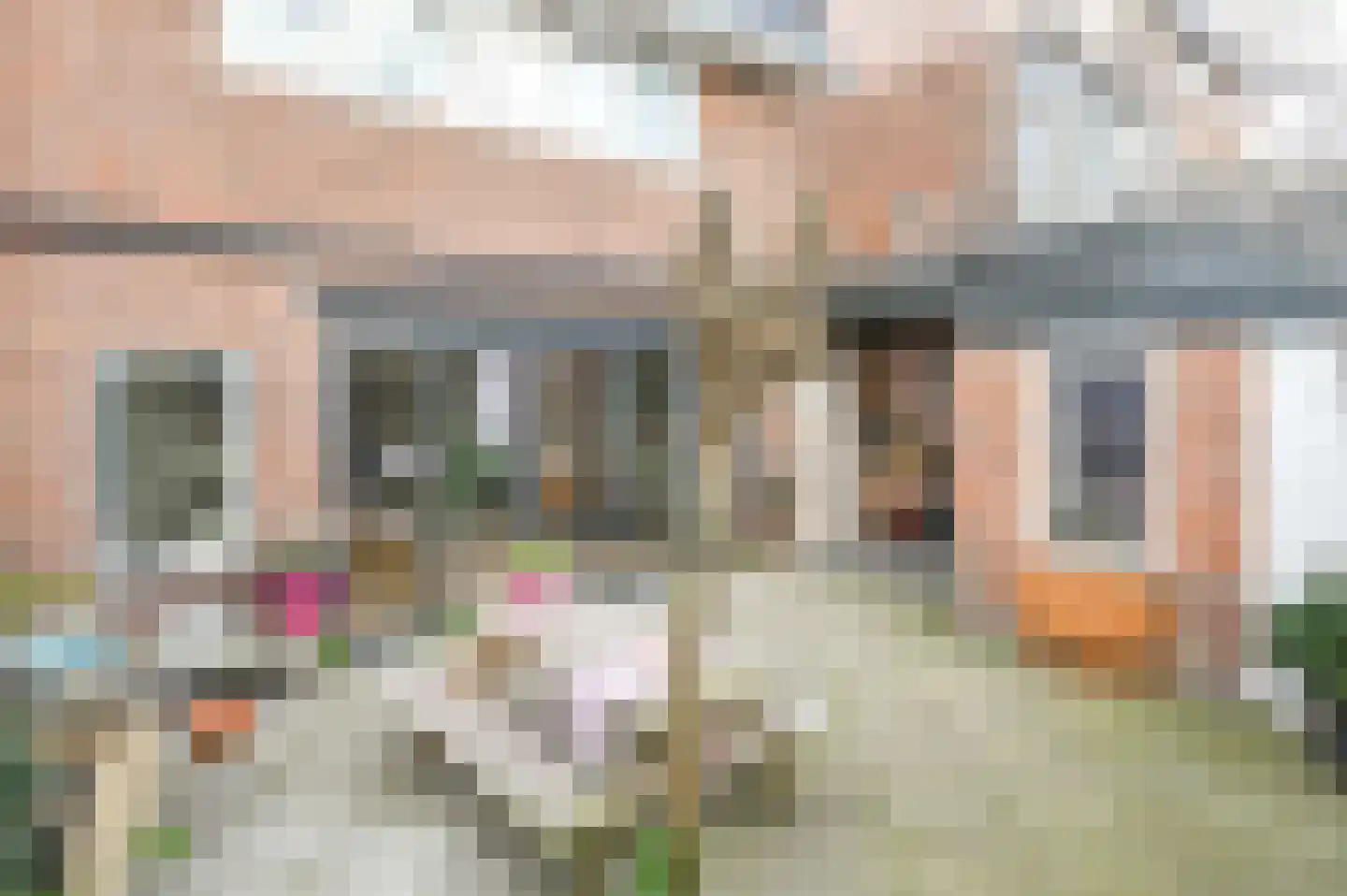 Schoterbosplein 15 Haarlem thumbnail 46