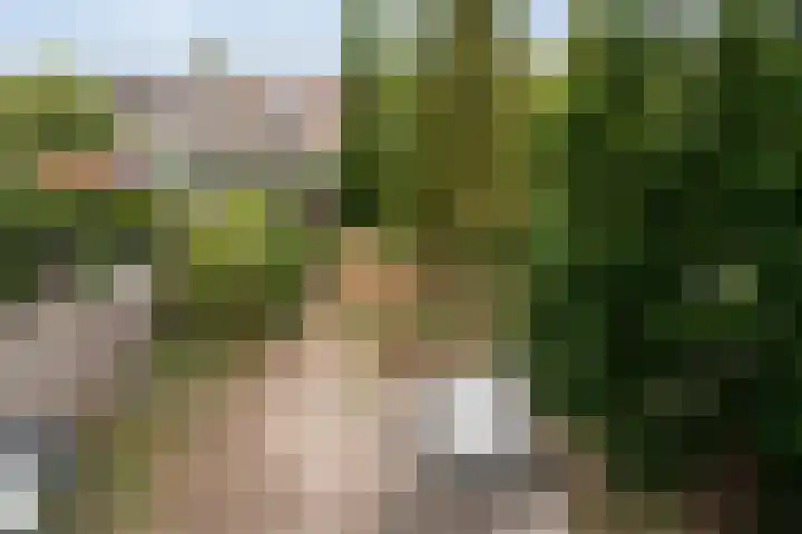 Schoterbosstraat 2 Haarlem thumbnail 29