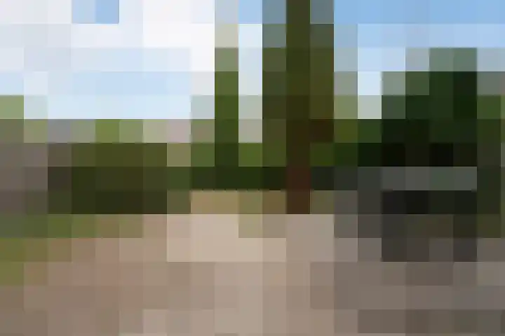 Schoterbosstraat 2 Haarlem thumbnail 42