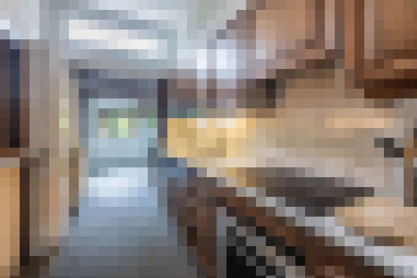 Schoterbosstraat 21 Haarlem thumbnail 14