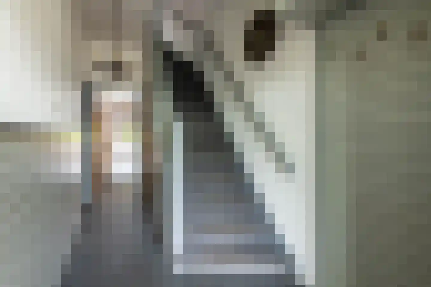 Schoterbosstraat 21 Haarlem thumbnail 16
