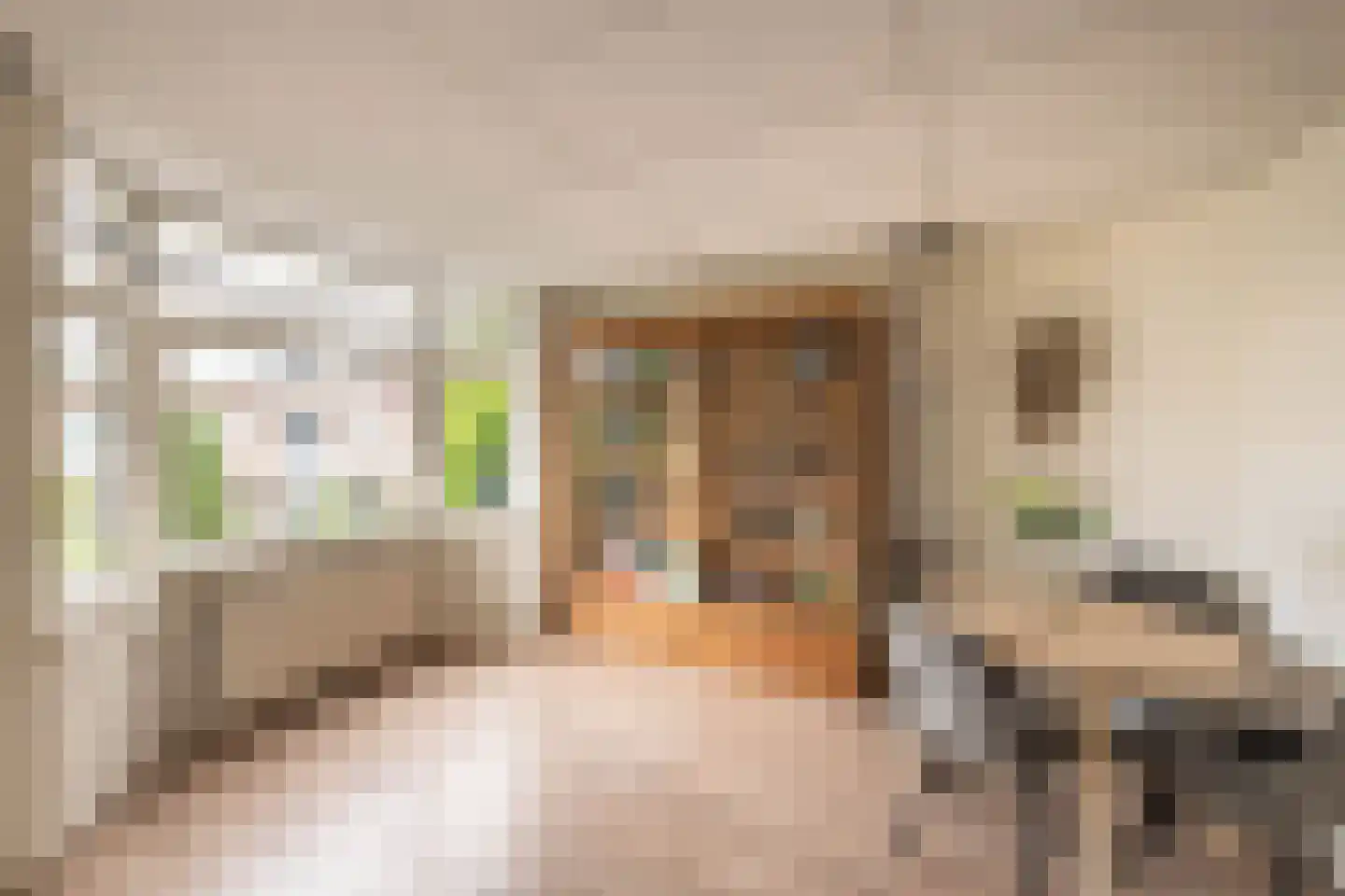 Schoterbosstraat 21 Haarlem thumbnail 20