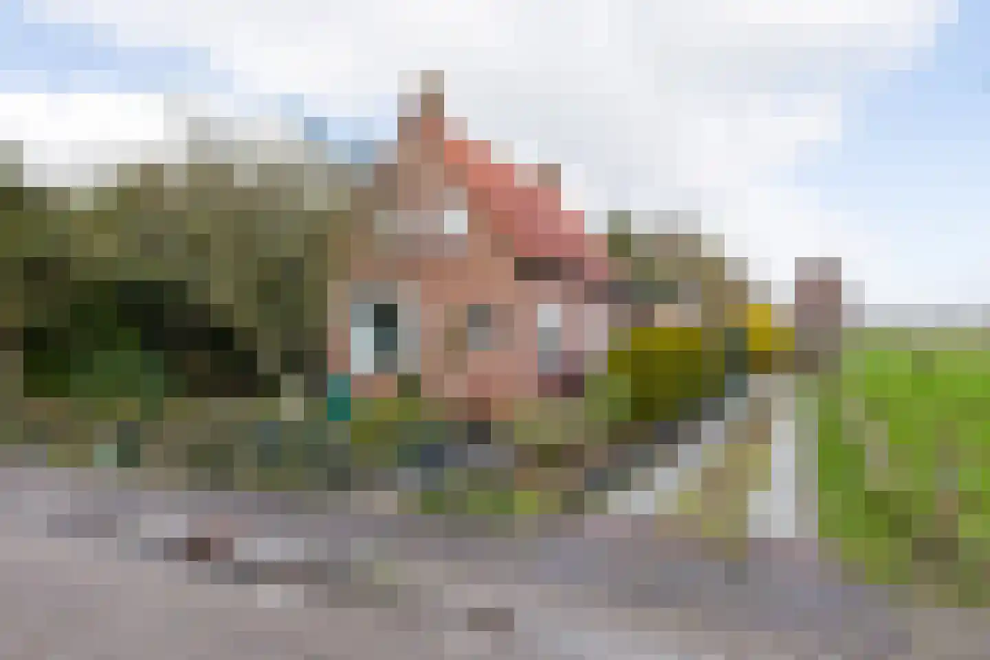 Schoterlandseweg 101 dans Jubbega
