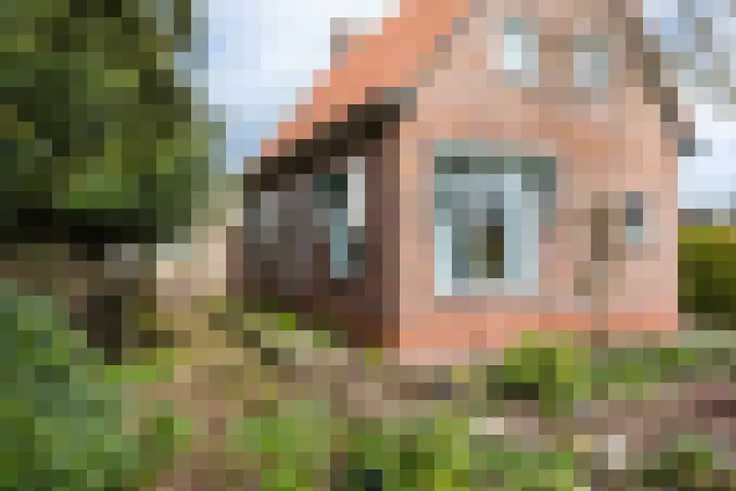 Schoterlandseweg 101 Jubbega thumbnail 14