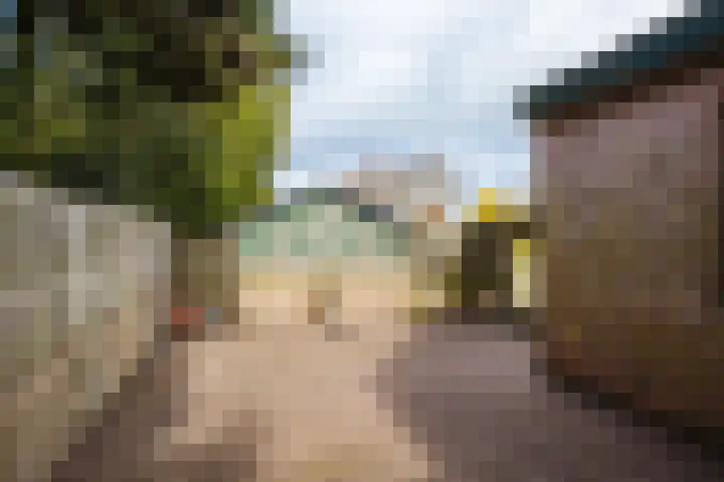 Schoterlandseweg 101 Jubbega thumbnail 15