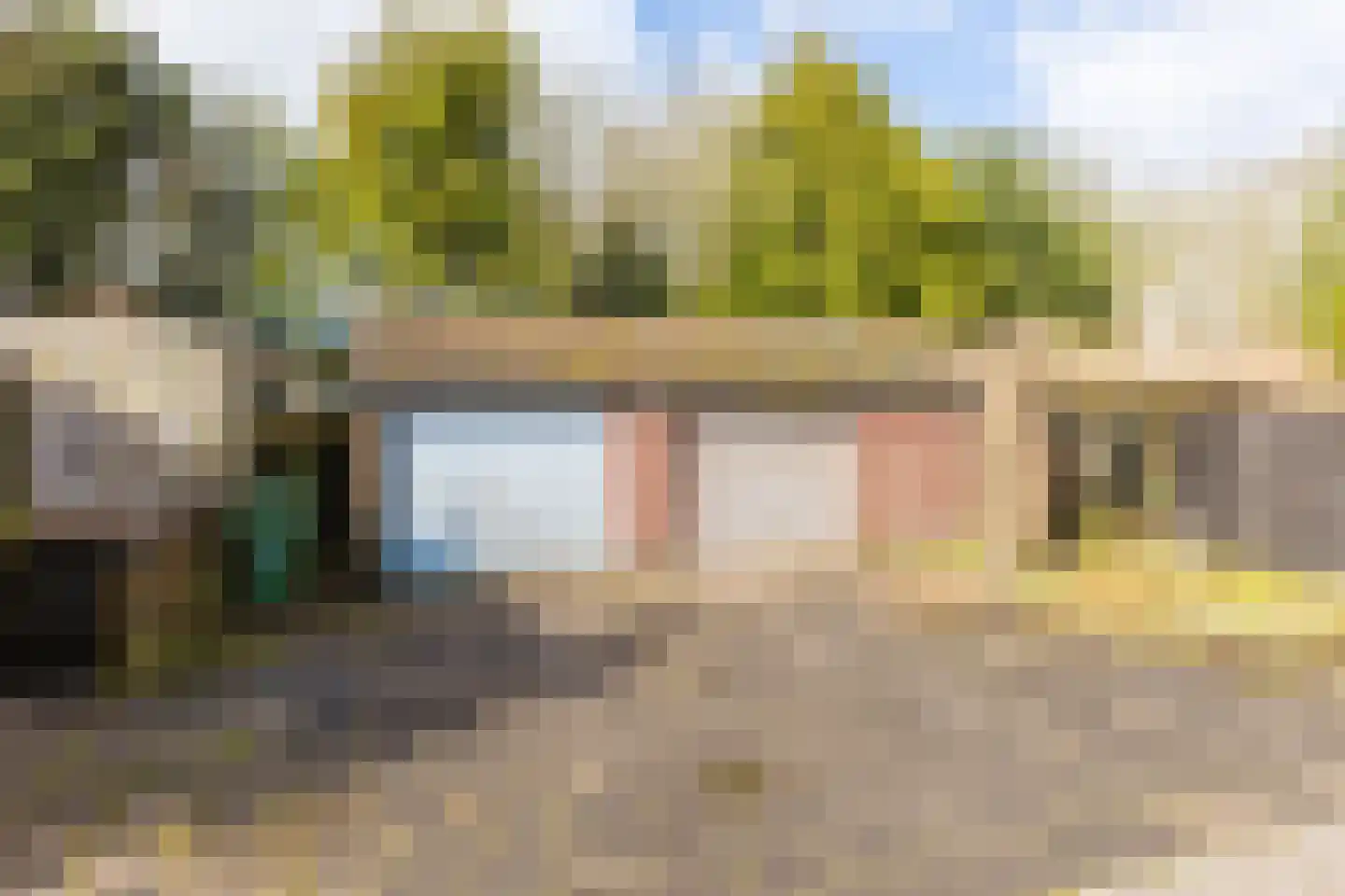 Schoterlandseweg 101 Jubbega thumbnail 16