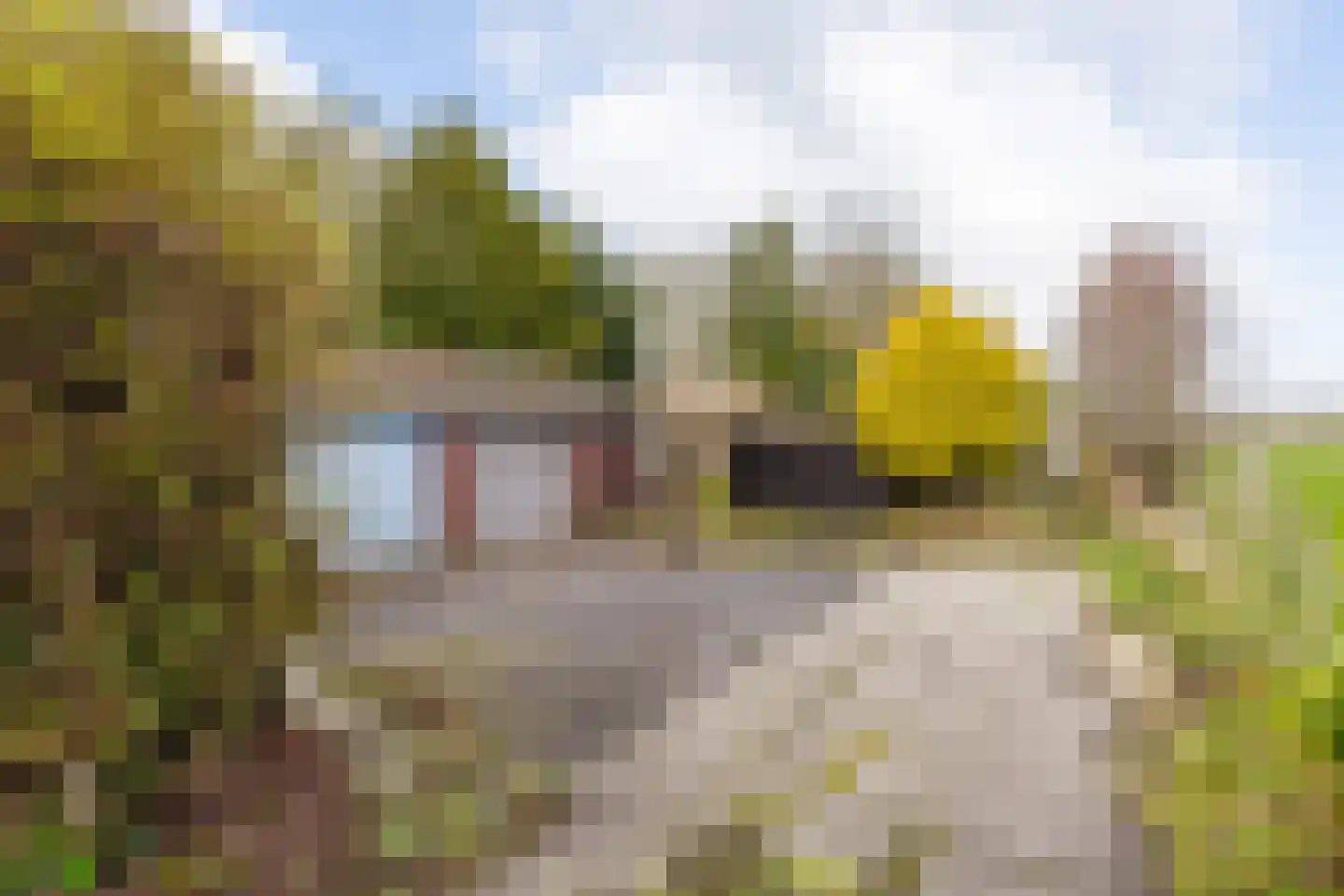 Schoterlandseweg 101 Jubbega thumbnail 17
