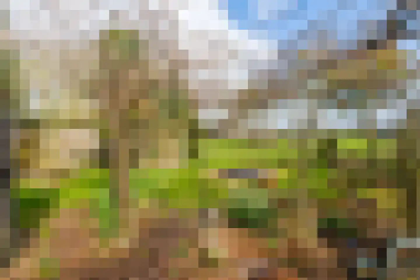 Schoterlandseweg 101 Jubbega thumbnail 18