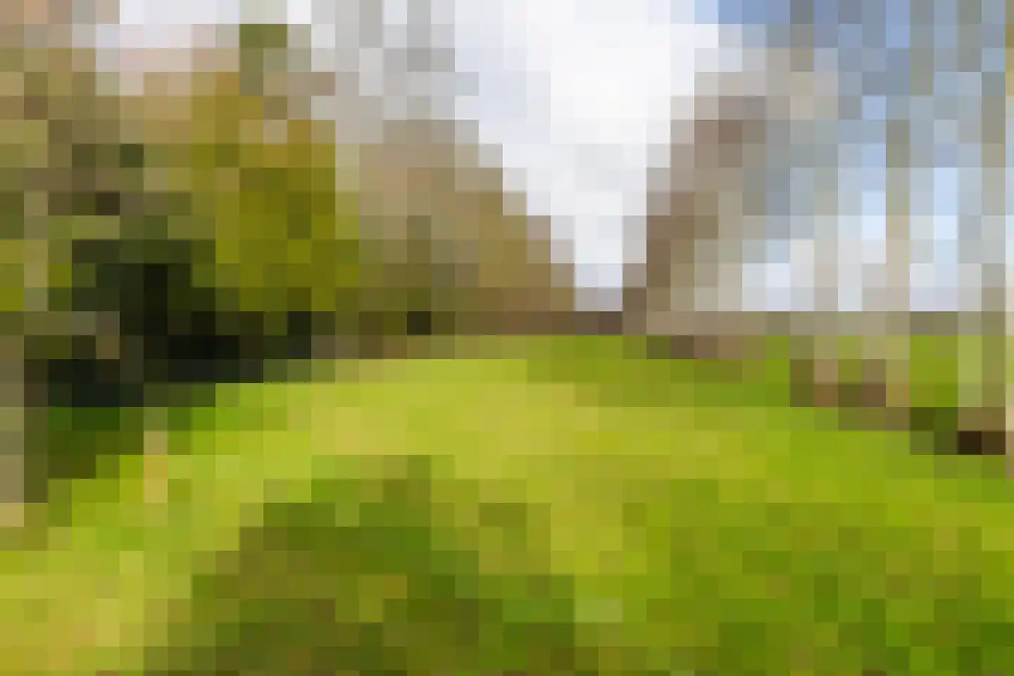 Schoterlandseweg 101 Jubbega thumbnail 19