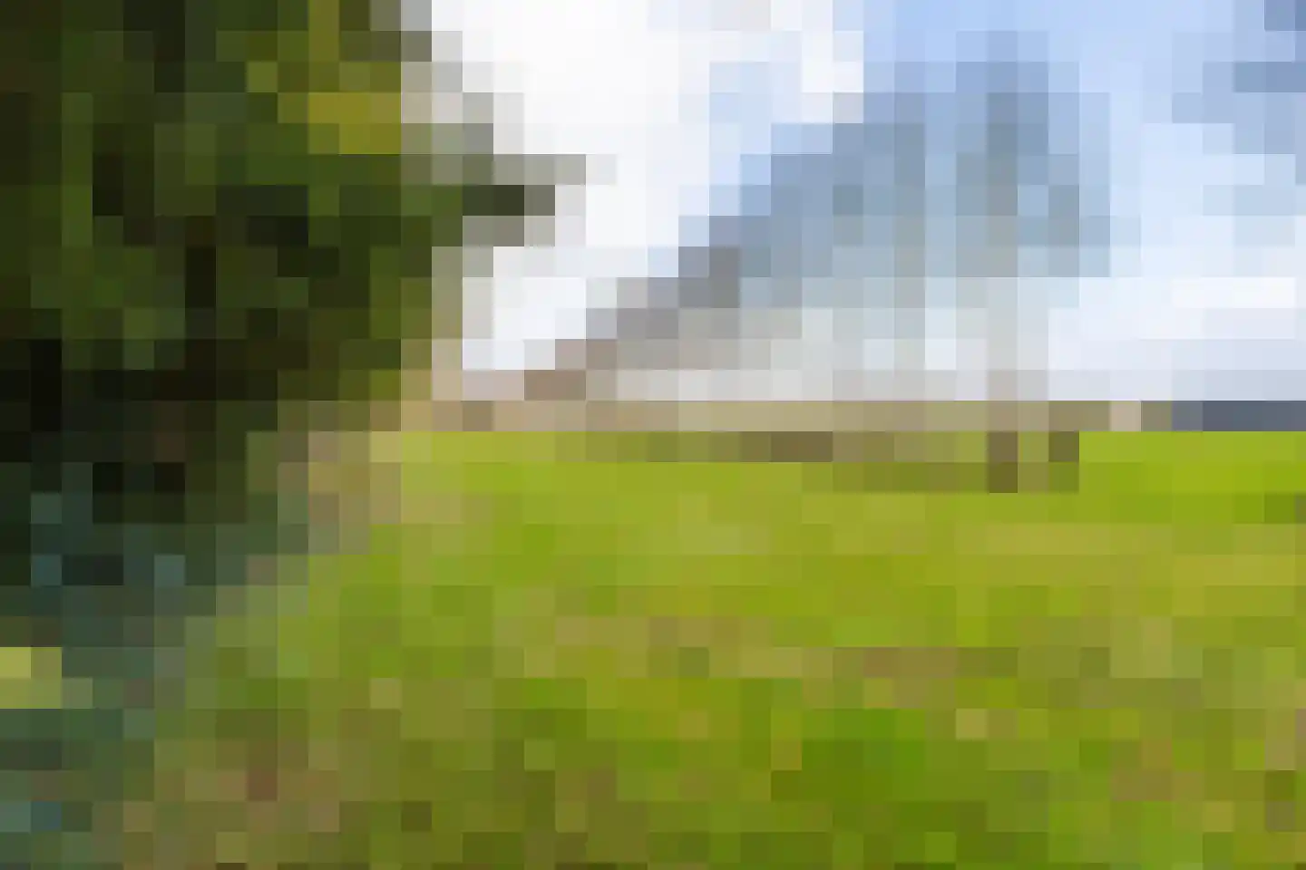 Schoterlandseweg 101 Jubbega thumbnail 20