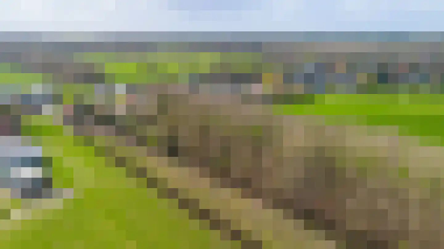 Schoterlandseweg 101 Jubbega thumbnail 23