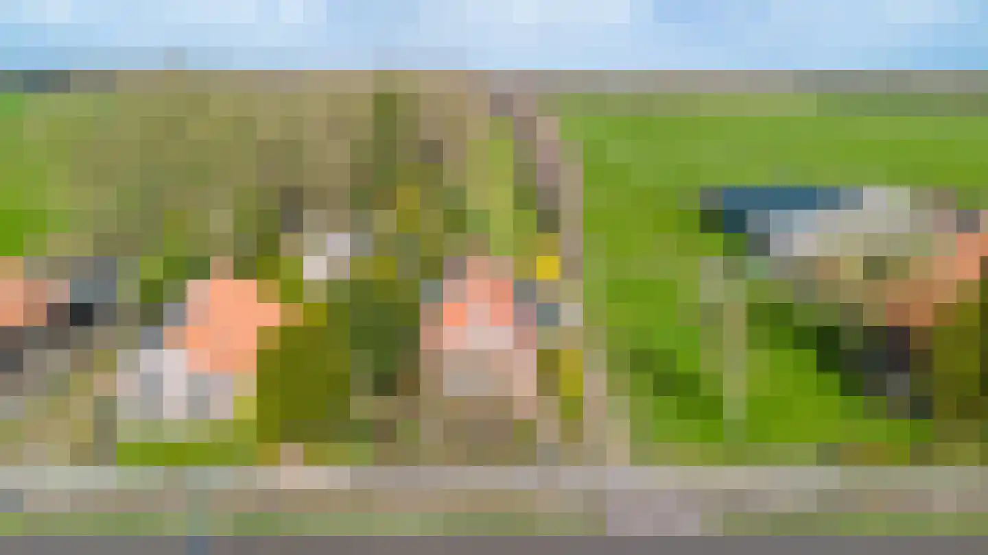 Schoterlandseweg 101 Jubbega thumbnail 7