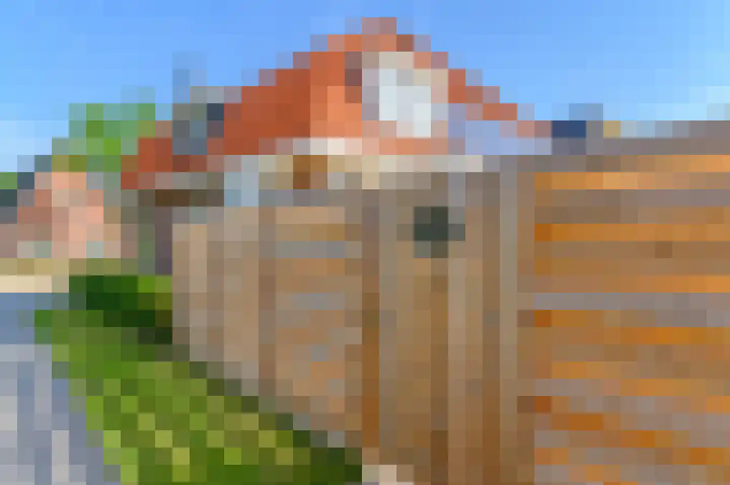Schoterlandseweg 108 Nieuwehorne thumbnail 20
