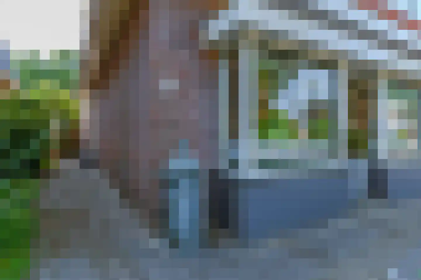Schoterlandseweg 108 Nieuwehorne thumbnail 21