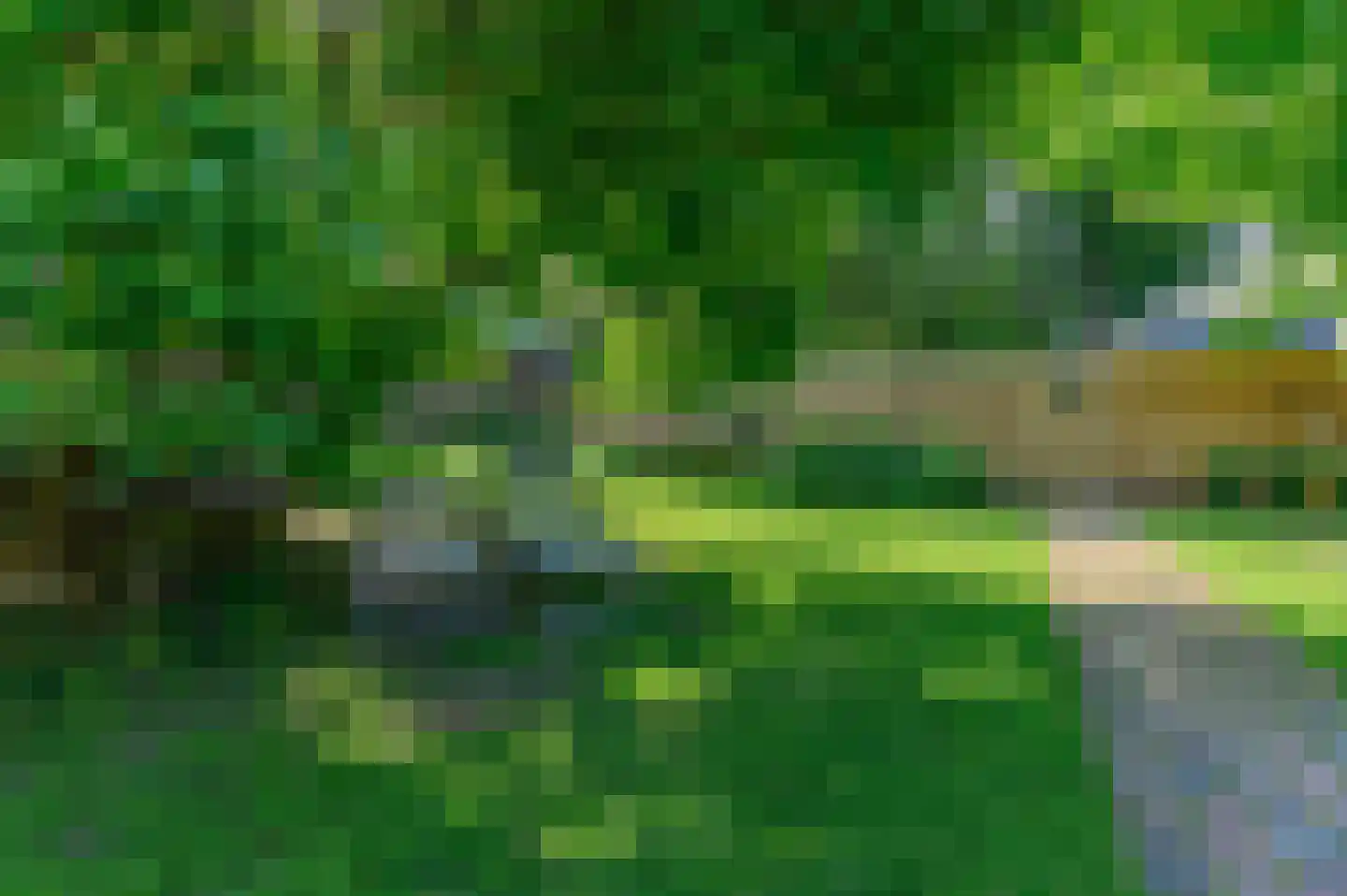 Schoterlandseweg 108 Nieuwehorne thumbnail 30