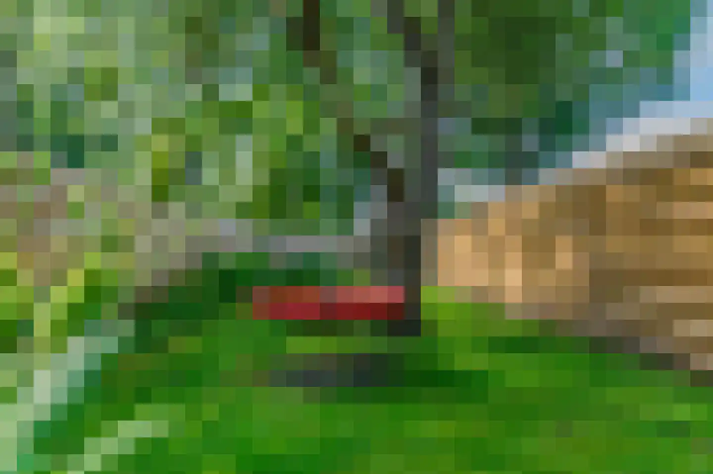 Schoterlandseweg 108 Nieuwehorne thumbnail 31