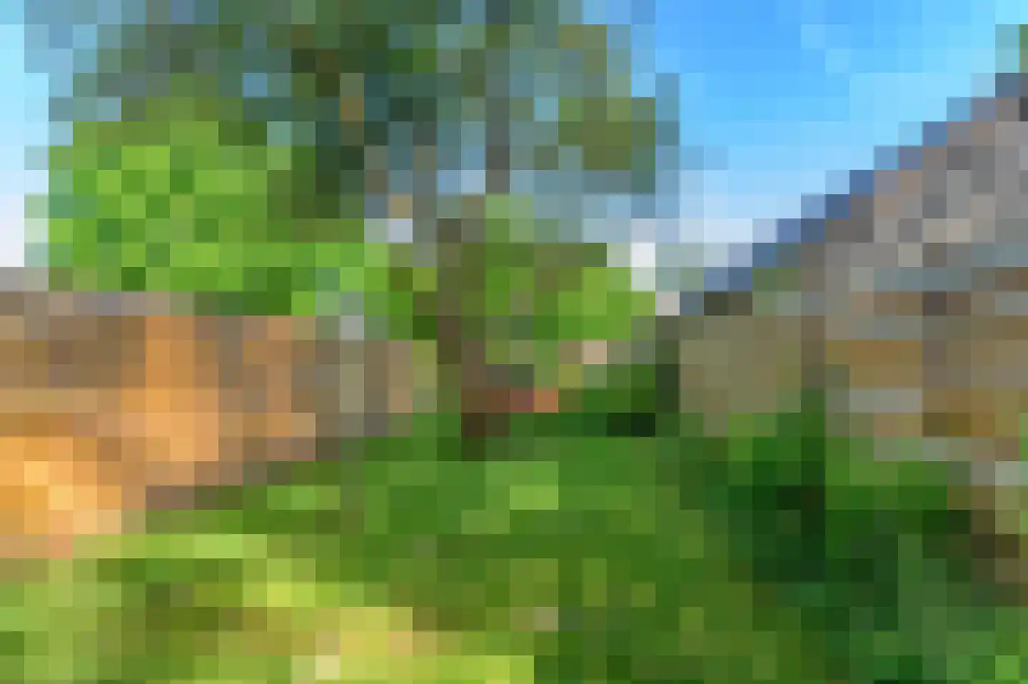Schoterlandseweg 108 Nieuwehorne thumbnail 32