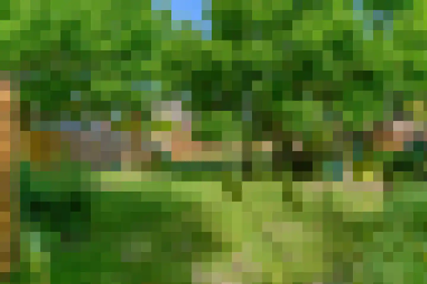 Schoterlandseweg 108 Nieuwehorne thumbnail 33