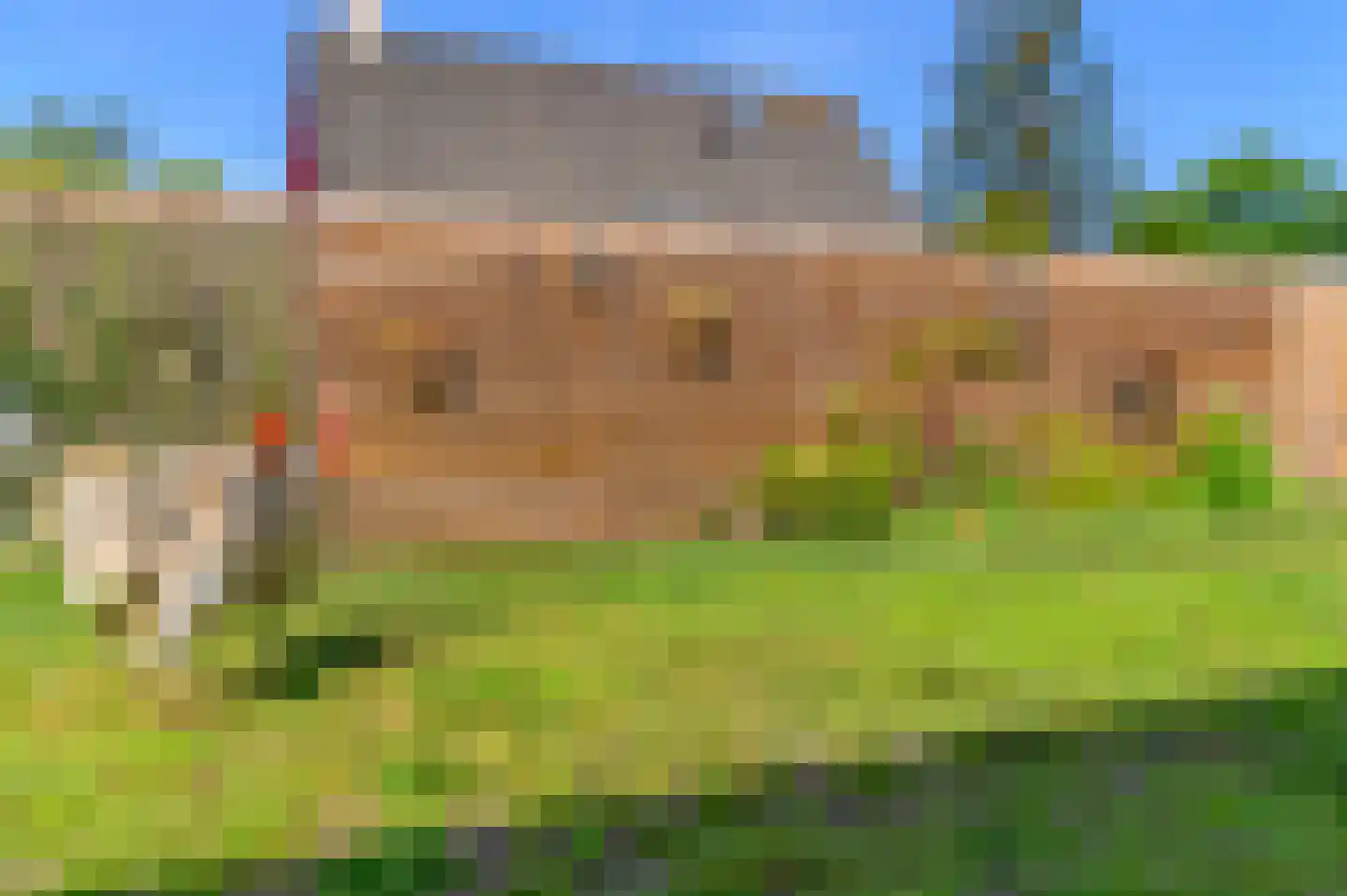 Schoterlandseweg 108 Nieuwehorne thumbnail 37