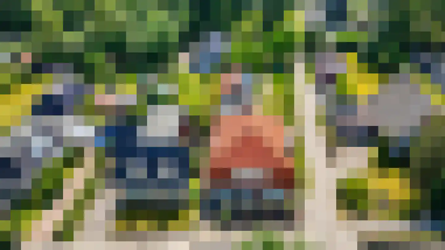 Schoterlandseweg 108 Nieuwehorne thumbnail 38