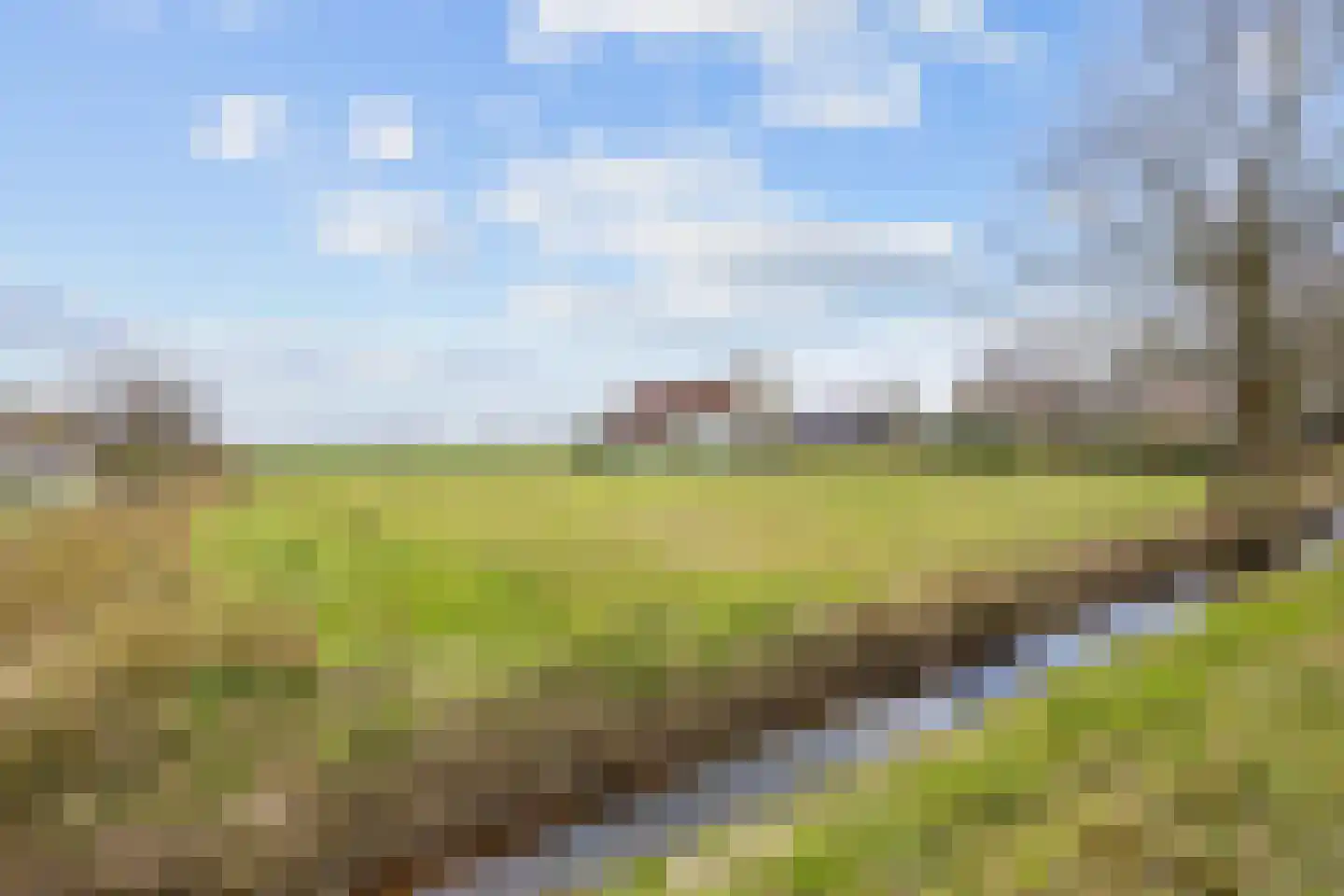 Schoterlandseweg 112 Jubbega thumbnail 4