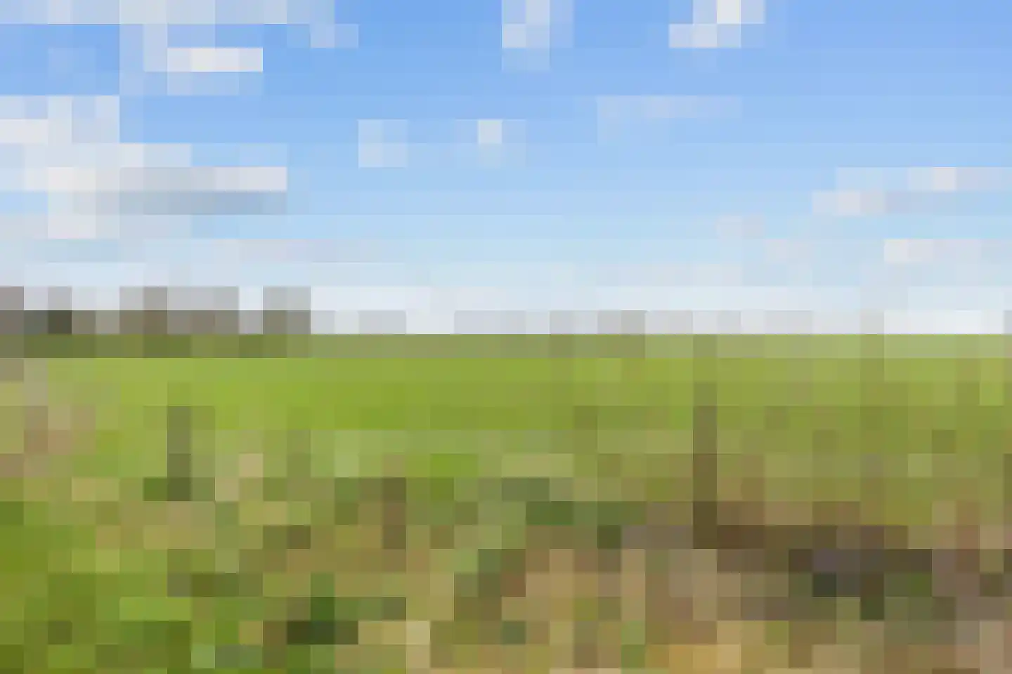 Schoterlandseweg 112 Jubbega thumbnail 8