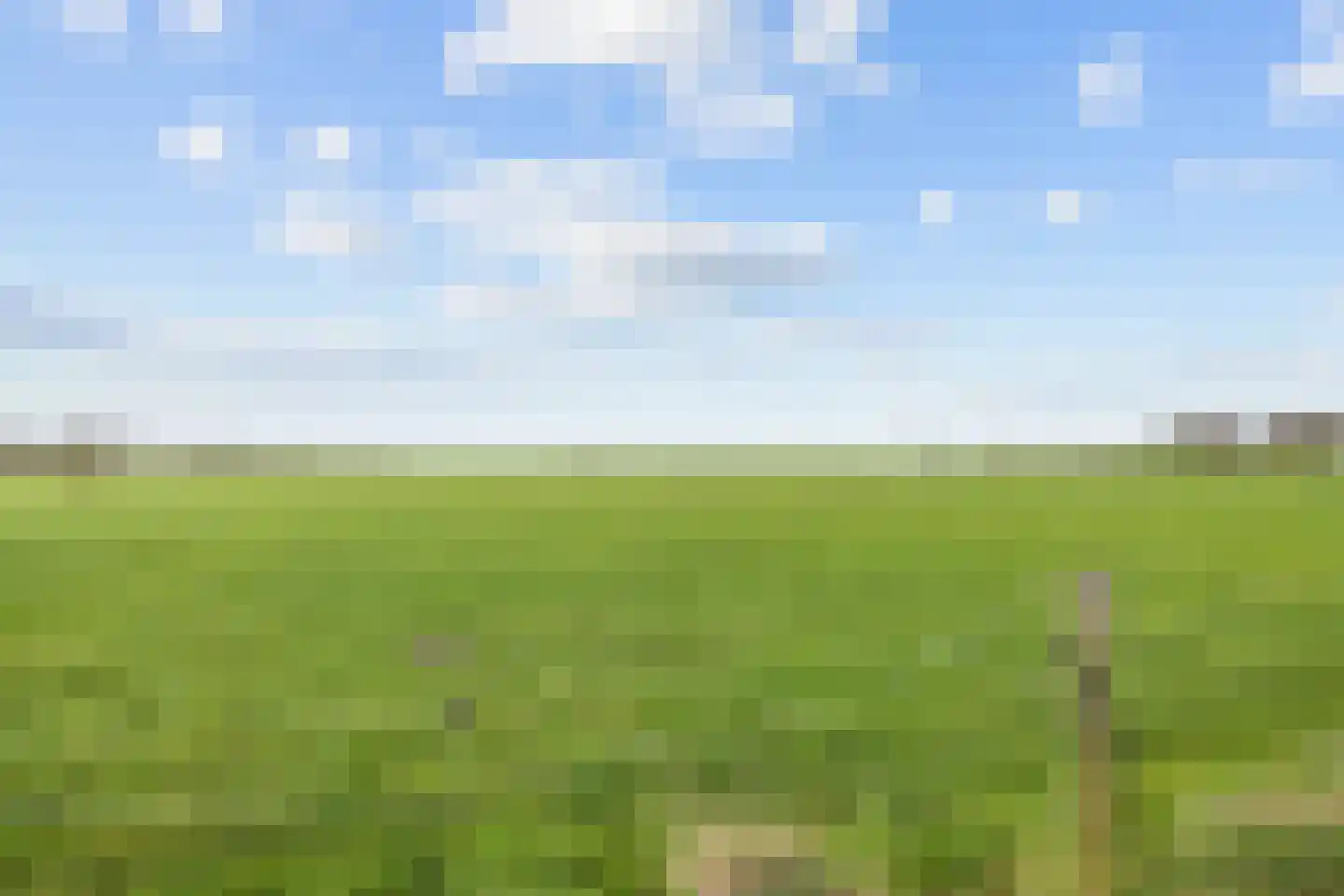 Schoterlandseweg 112 Jubbega thumbnail 9