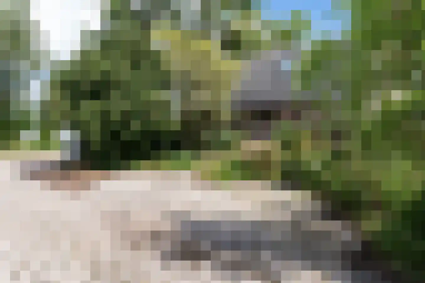 Schoterlandseweg 141 Oudehorne thumbnail 10