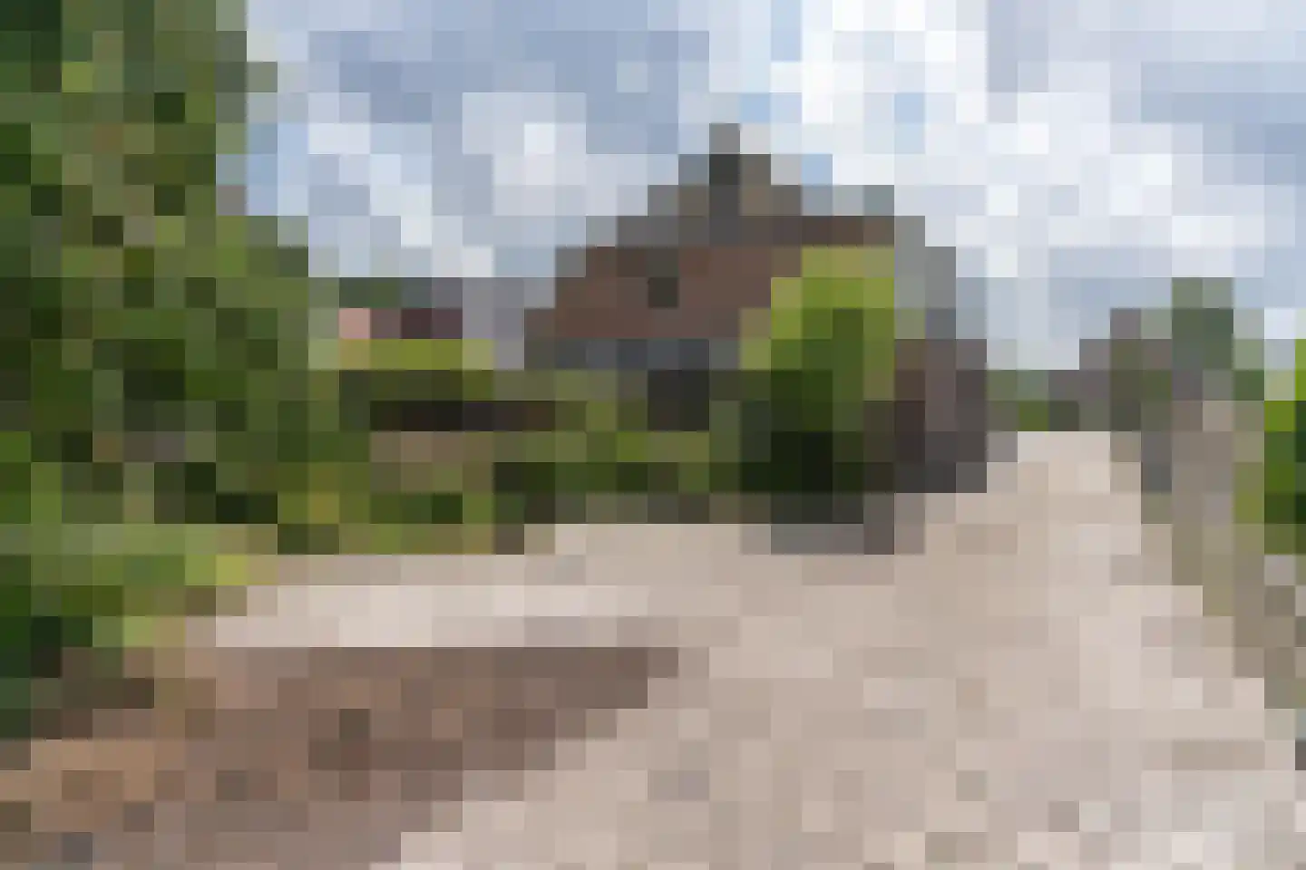 Schoterlandseweg 141 Oudehorne thumbnail 15
