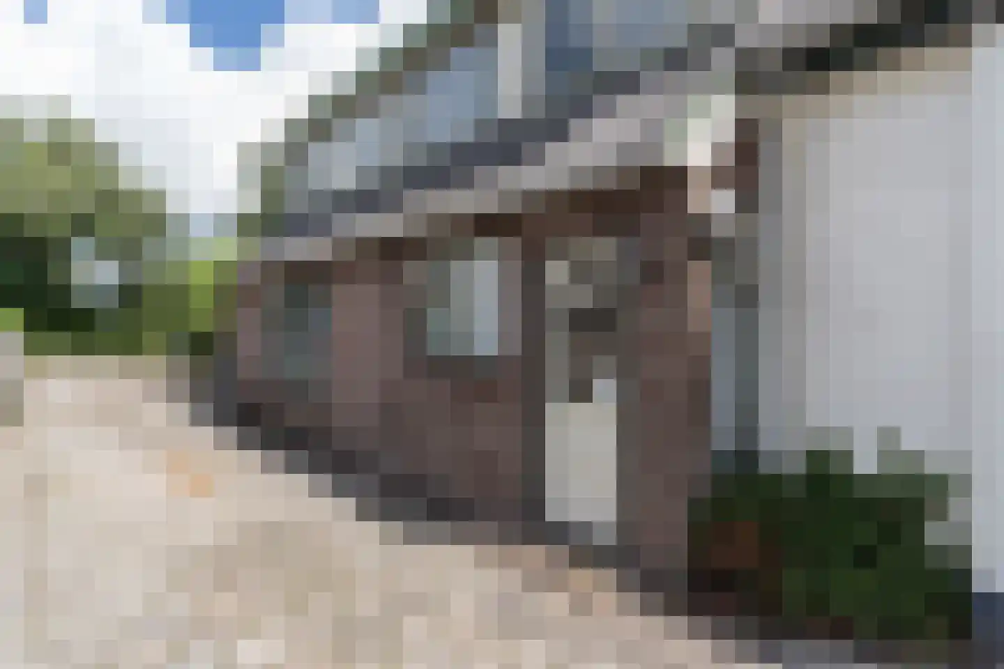 Schoterlandseweg 141 Oudehorne thumbnail 17
