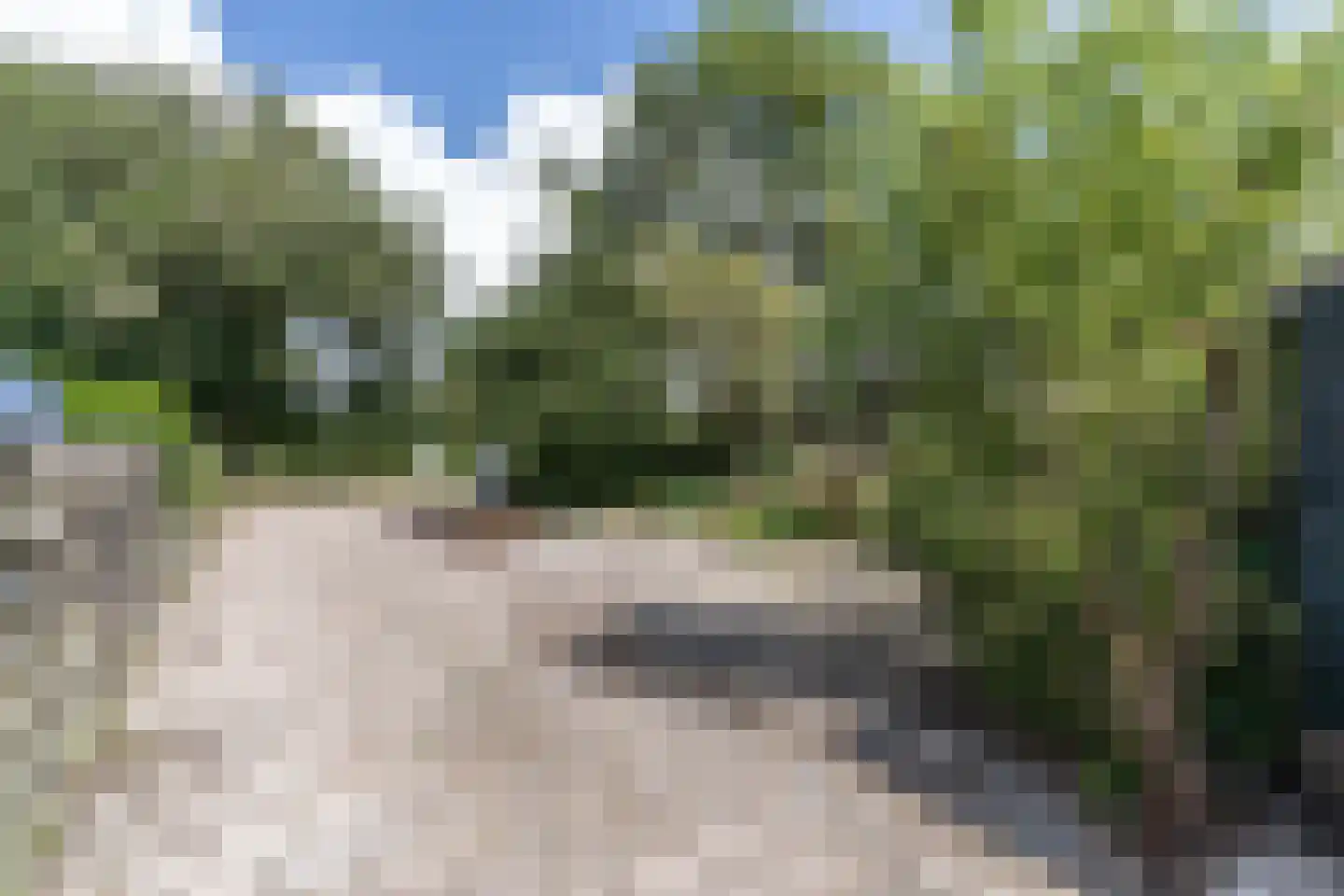 Schoterlandseweg 141 Oudehorne thumbnail 19