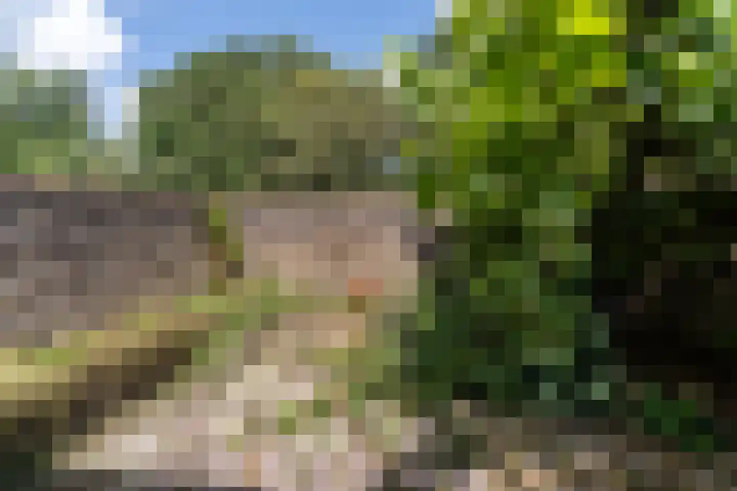 Schoterlandseweg 141 Oudehorne thumbnail 22