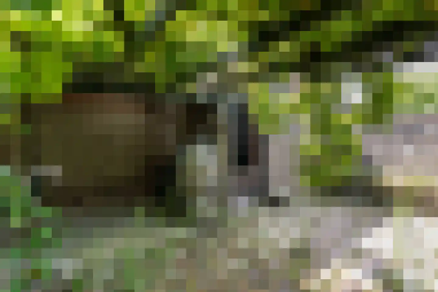 Schoterlandseweg 141 Oudehorne thumbnail 23