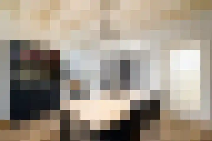 Schoterlandseweg 18 Oudeschoot thumbnail 13