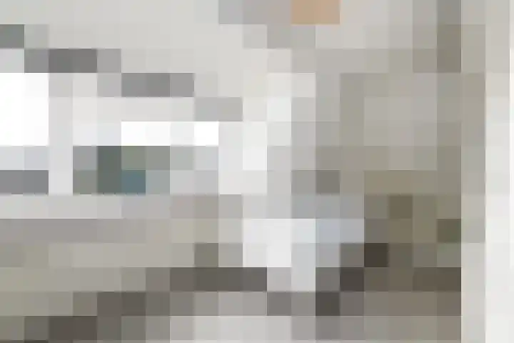 Schoterlandseweg 18 Oudeschoot thumbnail 36
