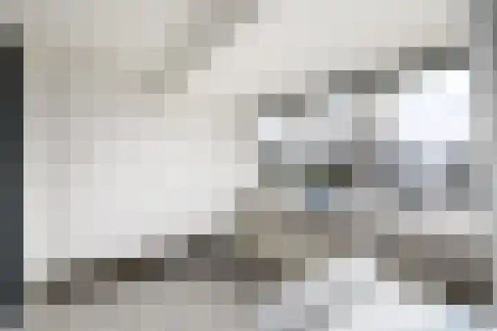 Schoterlandseweg 18 Oudeschoot thumbnail 37
